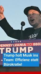 Trump holt Musk ins Team: Effizienz statt Bürokratie!