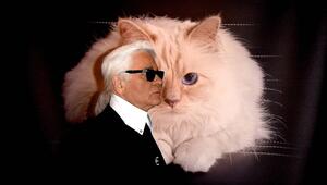 Karl Lagerfeld, Choupette
