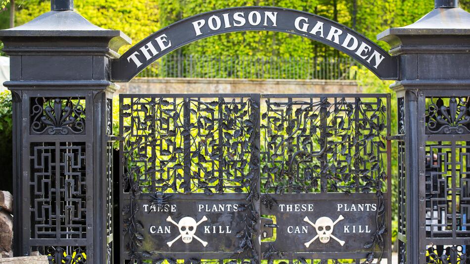 Alnwick Castle Gardens in Northumberland