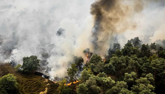 Brand im niederländischen Naturschutzgebiet De Rosmolen