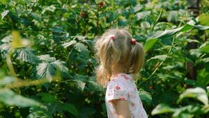 Achtung: Diese beliebten Pflanzen sind für Kinder giftig