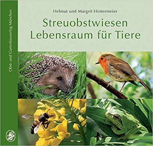 Herbst, Igel, Garten, helfen, Winter, Igelnachwuchs