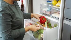 Gemüse Obst Kühlschrank