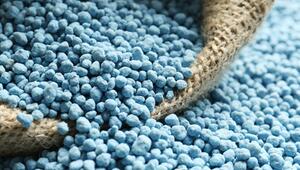 KORREKTUR: Blaukorn gegen Moos: Helfer oder Problem für den Rasen?