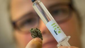 Medikamente aus Cannabiswirkstoff