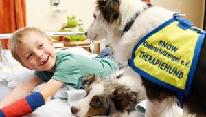 Seit 2026 unterstützt Purina den Verein Kinderschutzengel, der mit Therapiebegleithunden in ...