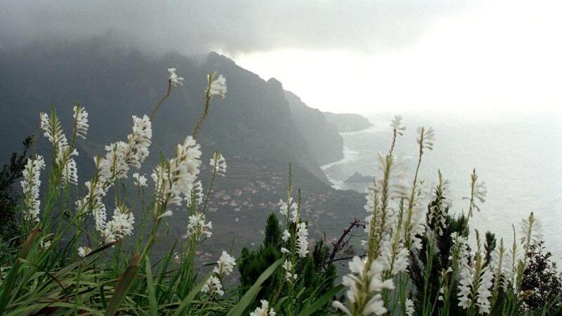 Urlaubsland Madeira