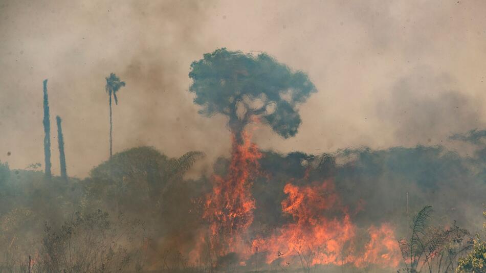 Waldbrände im Amazonasgebiet