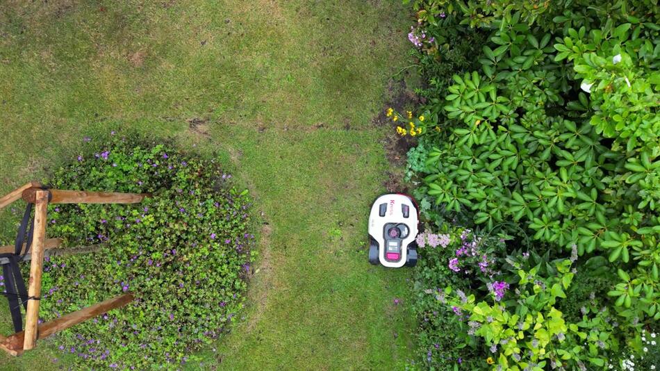 Ein Mähroboter fährt durch einen Garten