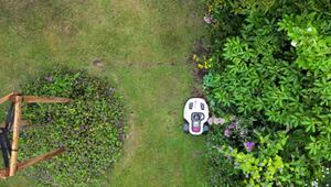 Ein Mähroboter fährt durch einen Garten