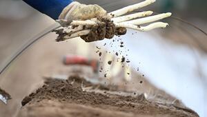 Arbeiter bei der Spargelernte