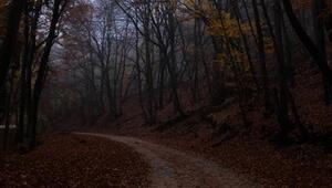 So lassen sich Stimmungstiefs im Herbst vorbeugen
