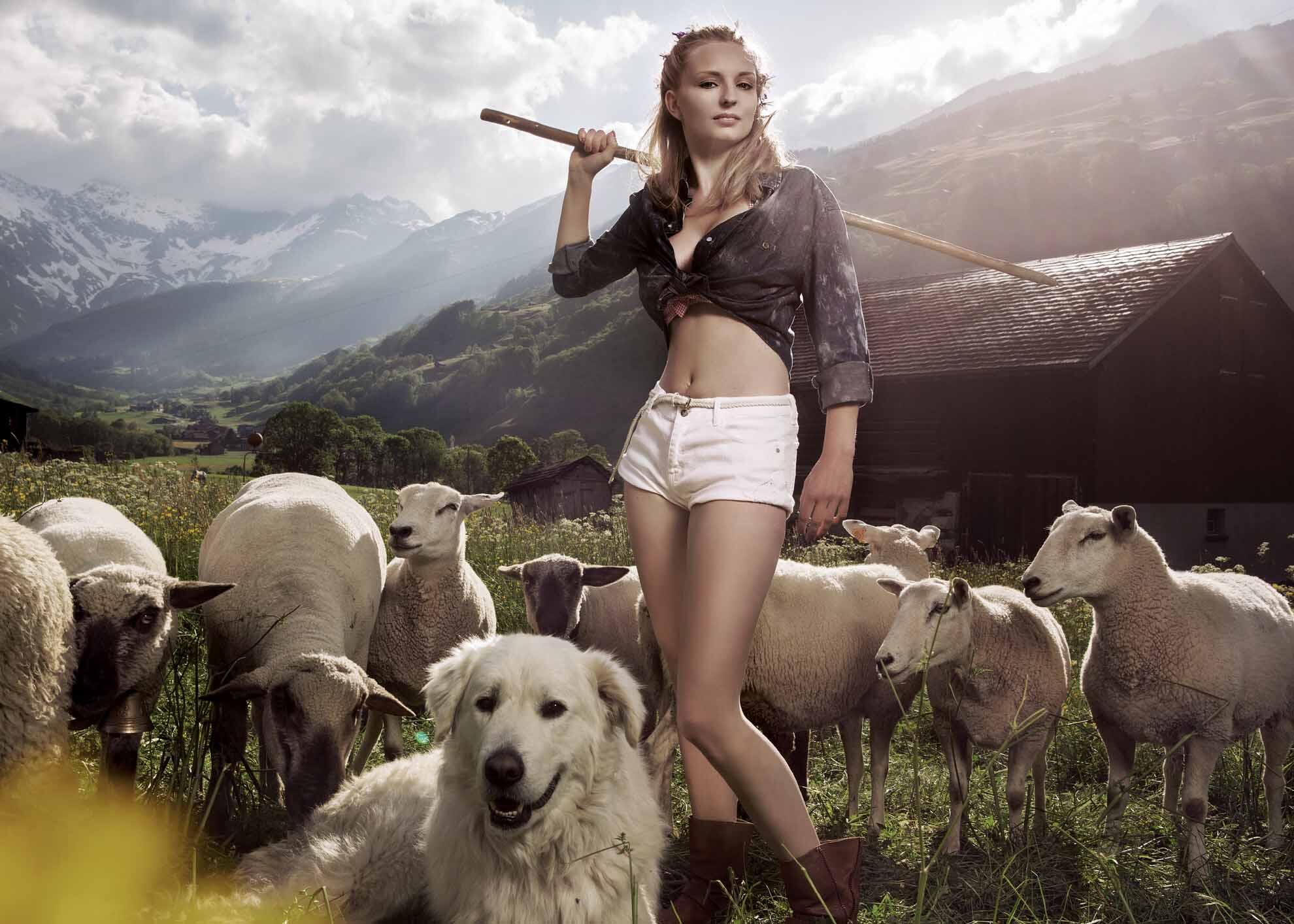 Der Bauernkalender 2015 GMX.CH