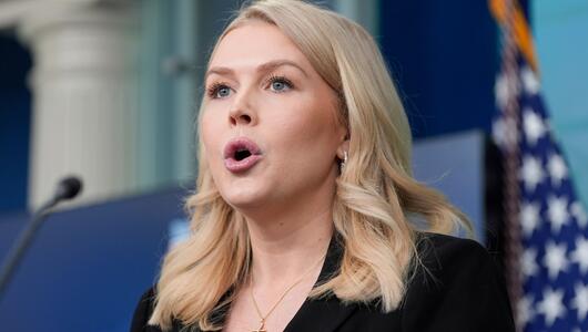 Die US-Regierung will sich von ihren Plänen für Grönland nicht abbringen lassen.