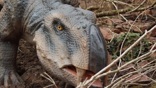 Nachbildung des Lystrosaurus 