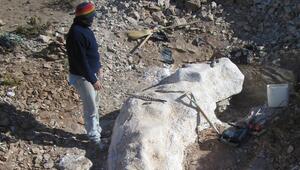 Teile des Bicharracosaurus dionidei werden geborgen