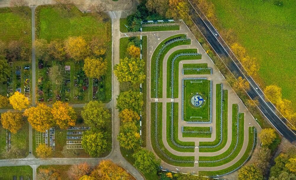 Schalker Fan Feld