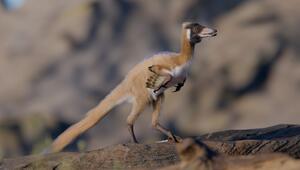 Alnashetri cerropolisiensis