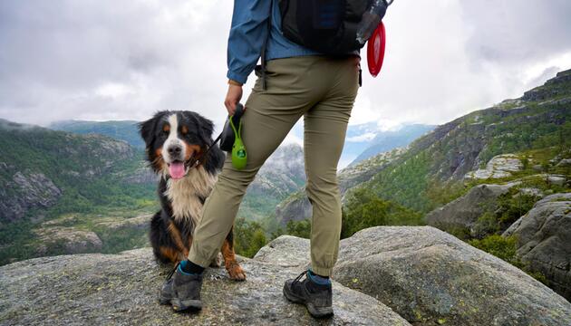 Ein Hund und ein Menschen beim Wandern