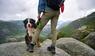 Ein Hund und ein Menschen beim Wandern