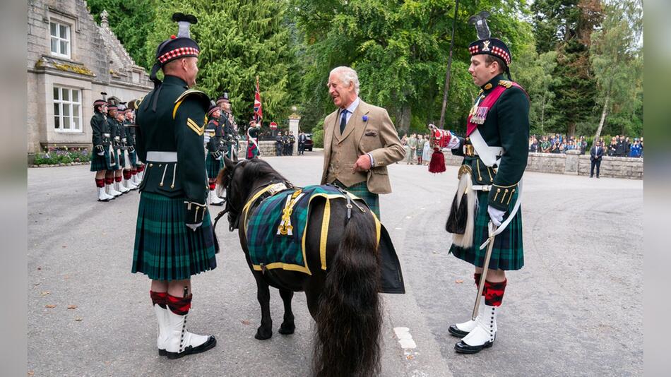 König Charles nahm sich auch wie die Jahre zuvor Zeit für das Shetlandpony Corporal Cruachan IV.
