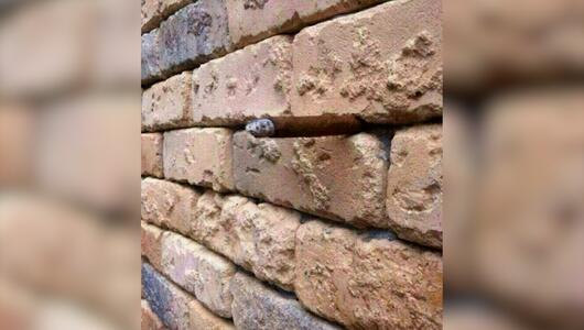 Verrückter Effekt: Die Mauer-Illusion funktioniert nur beim ersten Mal!
