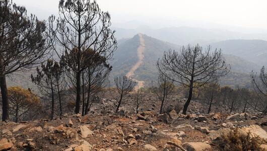 Waldbrand in Spanien