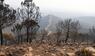 Waldbrand in Spanien