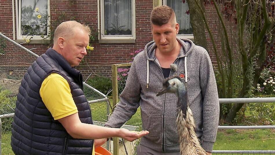 Entlaufene Tiere schweissen Heino (l.) und Markus zusammen.