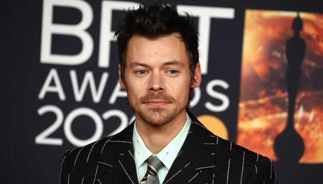 Harry Styles entspannt gerne daheim - in einer Sauna.