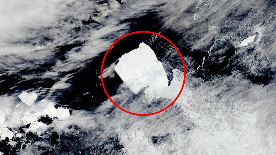 Der grösste Eisberg der Welt A23a hat sich befreit – es ist sein Todesurteil