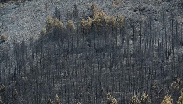 Waldbrände in Spanien