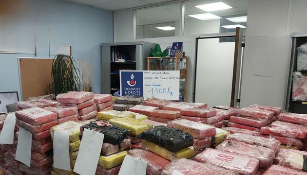 Zoll findet Kokain im Millionenwert in Blumenerde-Laster