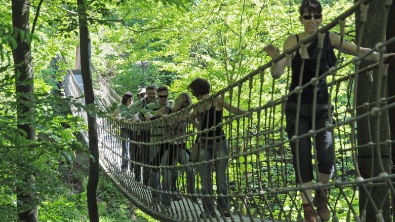 Erlebnis-Hängebrücke bei Bad Berleburg