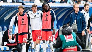 TSG 1899 Hoffenheim - Hamburger SV