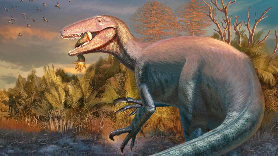 Neuer Raubdinosaurier in Patagonien entdeckt