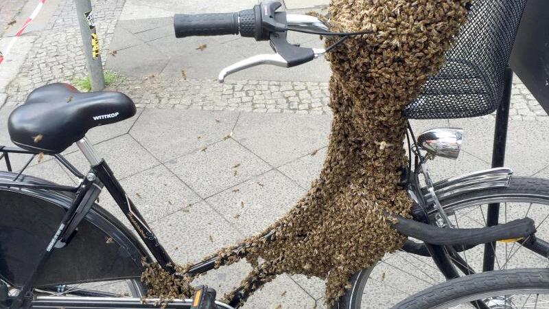 Bienen-Fahrrad