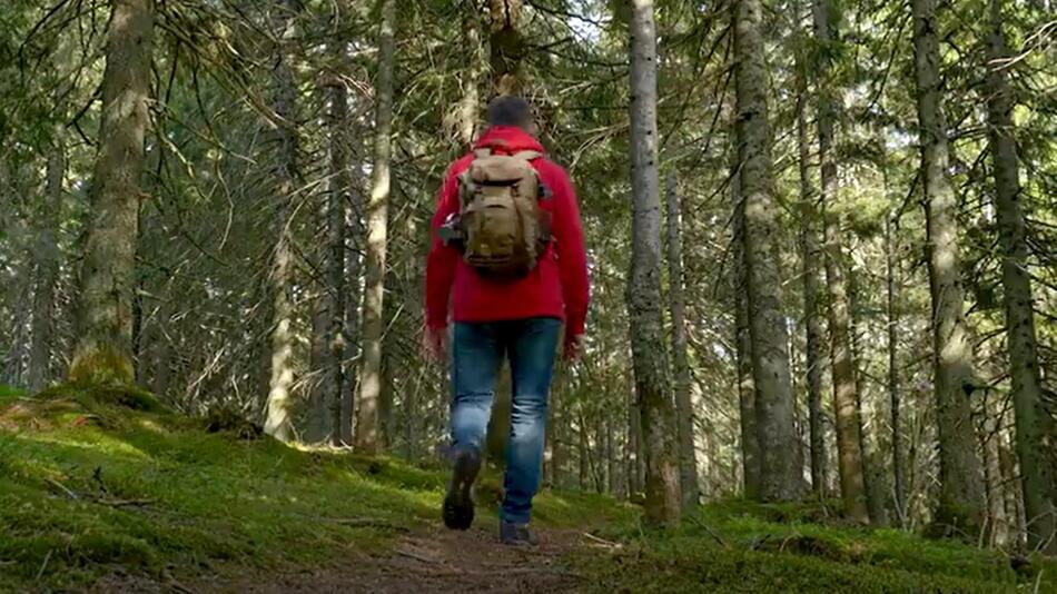 Warum der Maggi-Geruch im Wald gefährlich sein kann