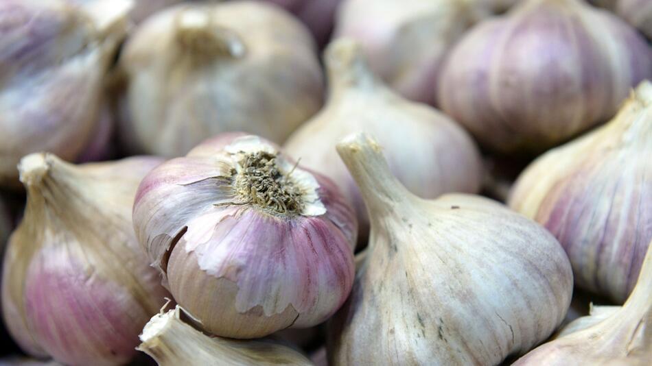 Knoblauchknollen