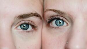 Zwillingsstudie: Das passiert, wenn du dich 8 Wochen vegan ernährst oder Fleisch isst