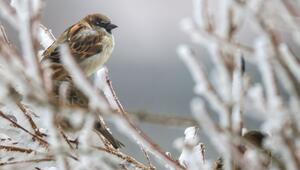 Wetter in Baden-Württemberg