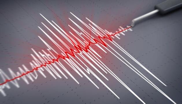 Seismogramm in Nahaufnahme