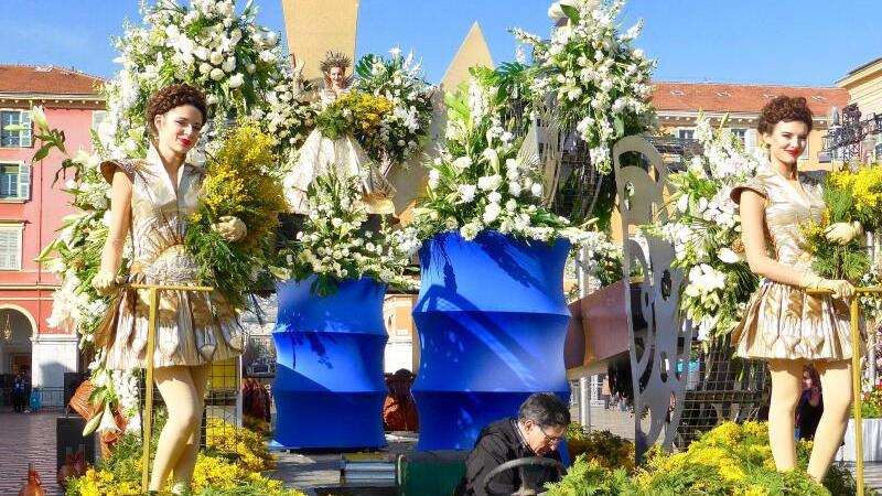 Die gelben Mimosen