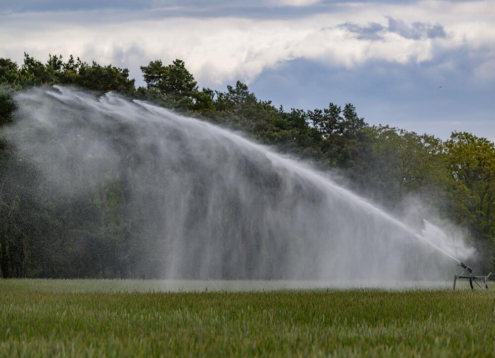 Trockenheit in der Landwirtschaft