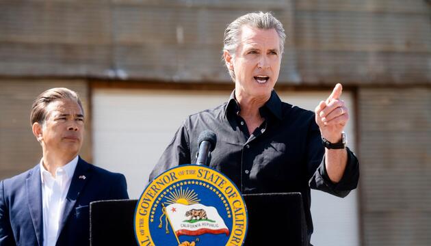 Gavin Newsom