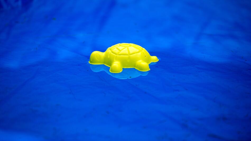 Swimmingpool