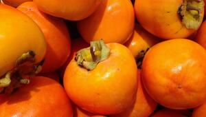 Kaki, Sharonfrucht, Persimone Unterschiede