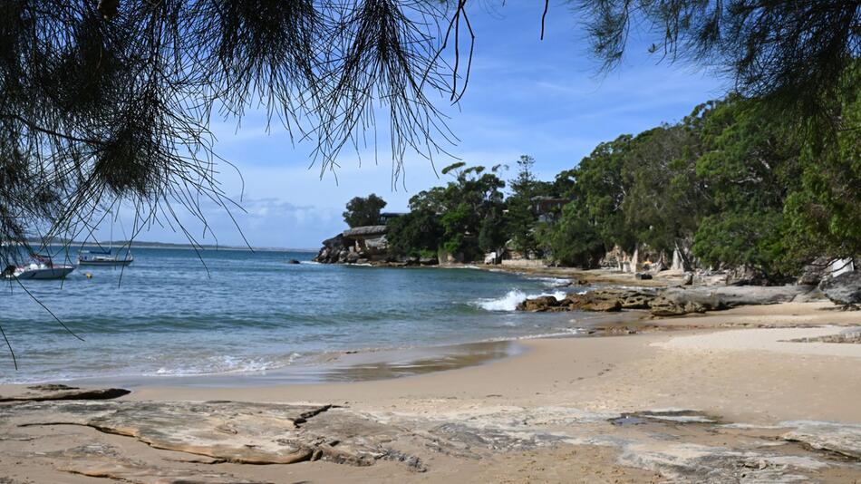 Haiangriff am Gunyah Beach