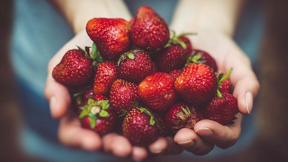 erdbeeren gesund