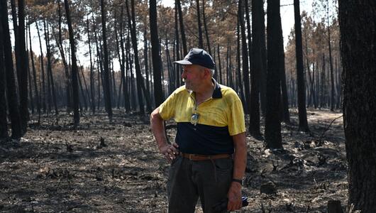Waldbrände in Frankreich